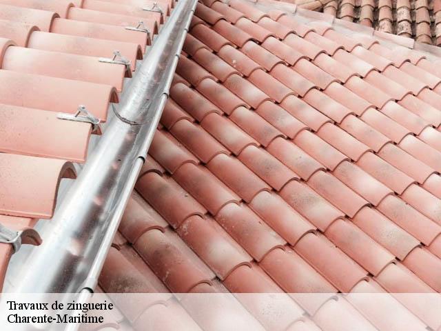 Travaux de zinguerie Charente-Maritime 